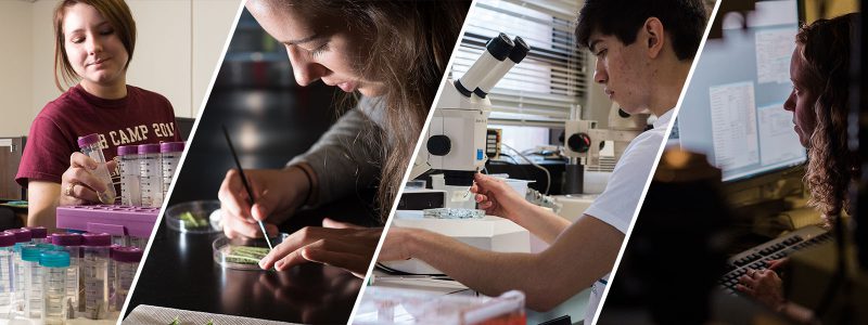 UGResearch_Why1 photos of undergraduate research, extractions, analyses