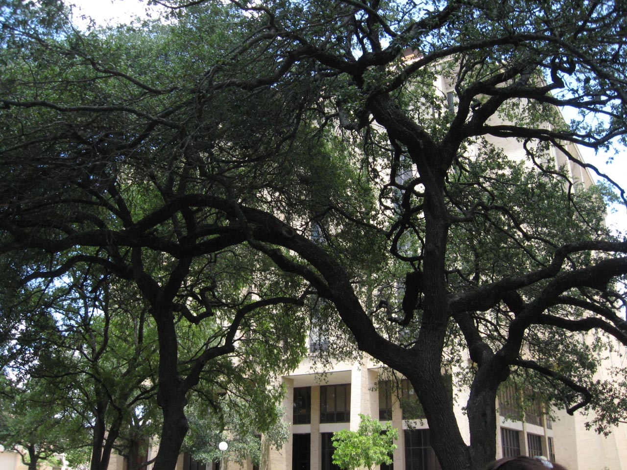 photo from 2009 camp