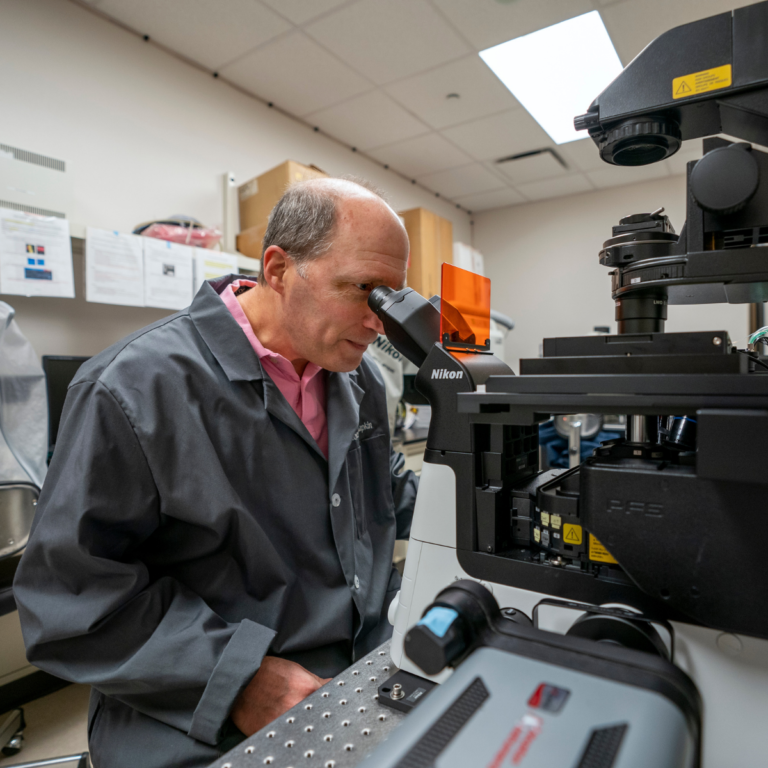 Texas A&M professor Robert Chapkin looks through the eyepiece of a microscope within his laboratory on the Texas A&M University campus.