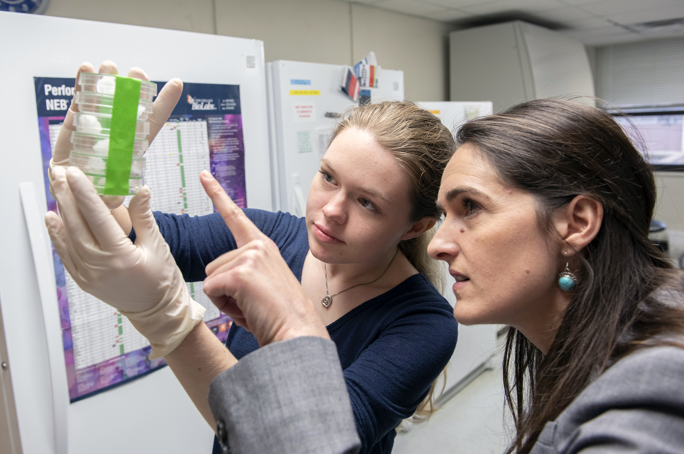 Professor and student working in a biology laboratory at Texas A&M University