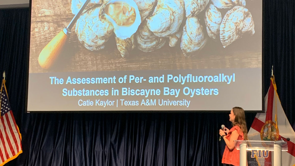 Catie Kaylor ’23 presenting her REU research at Florida International University.