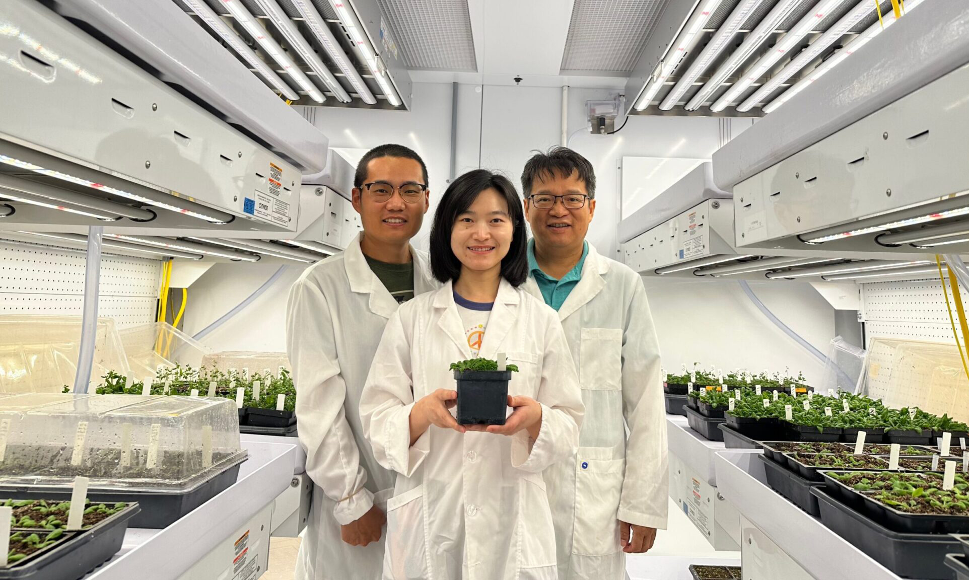 Three researchers wearing white lab coats -- one holding a plant -- stand in a brightly lit plant biology laboratory on the Texas A&M University campus