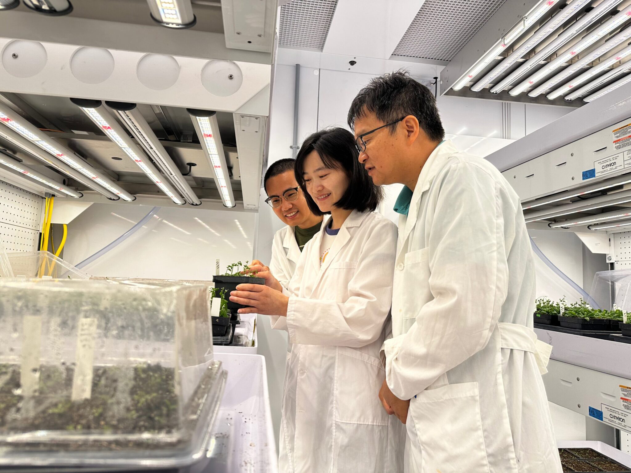 Three researchers wearing white lab coats smile as they analyze a plant within a brightly lit laboratory on the Texas A&M University campus