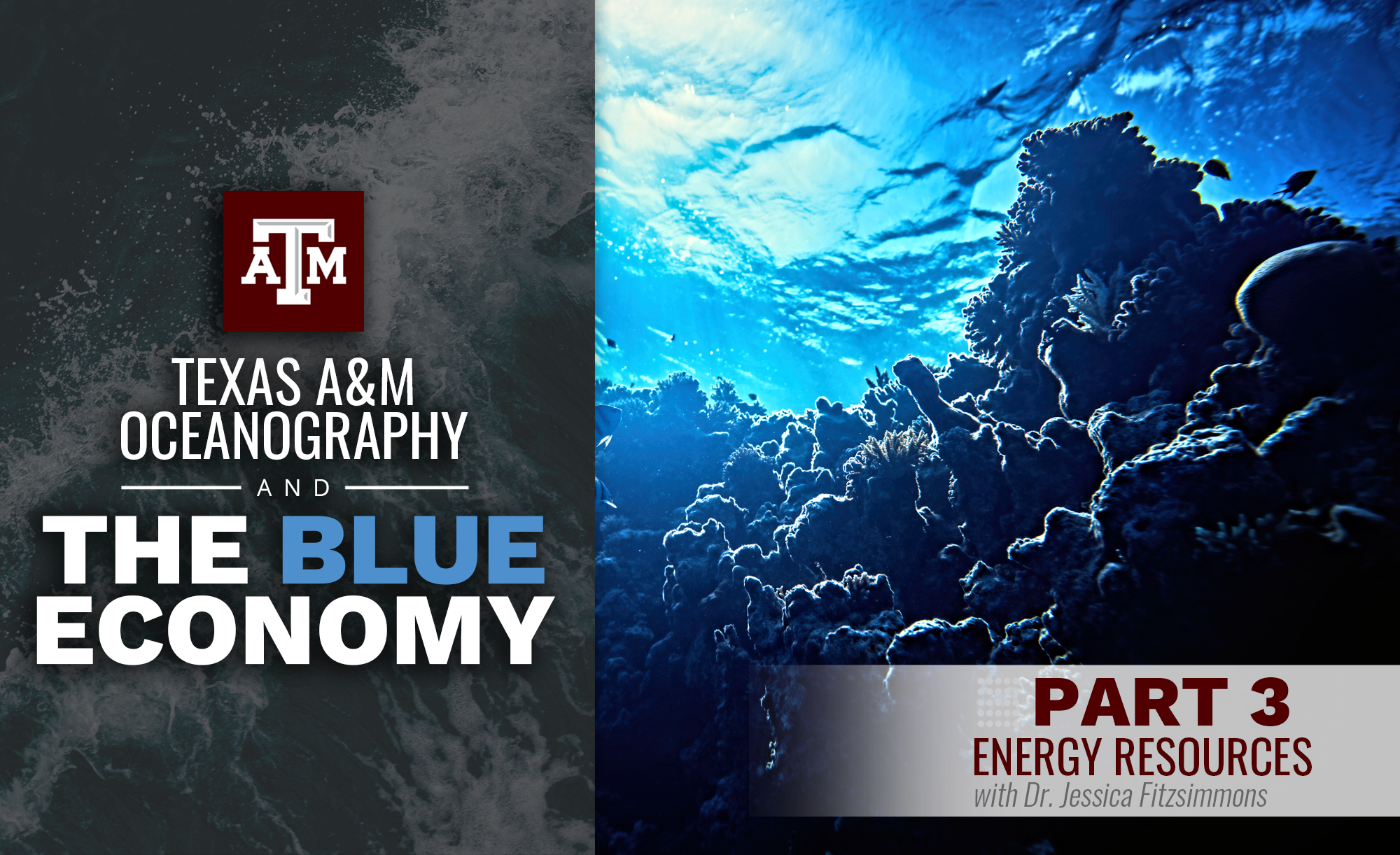 Promotional image for Texas A&amp;M Oceanography's series on The Blue Economy, featuring a vibrant underwater scene with corals and sunlight filtering through the water, titled 'Part 3: Energy Resources with Dr. Jessica Fitzsimmons'.